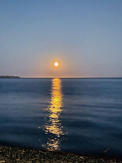 Evening Moon