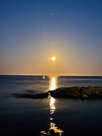 Evening Moon