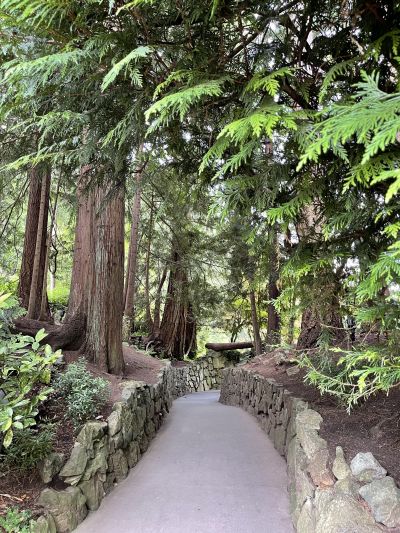 Forest Path